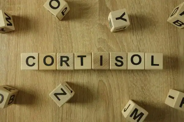The Hidden Connection: How Stress Shapes Your Fitness and Body Composition 2 Image saying "Cortisol" and how stress Northampton impacts your wellbeing and bodies shape